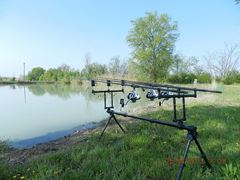 carpfishing